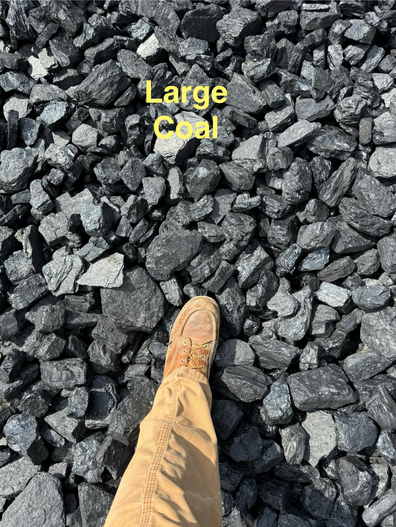 COAL LG