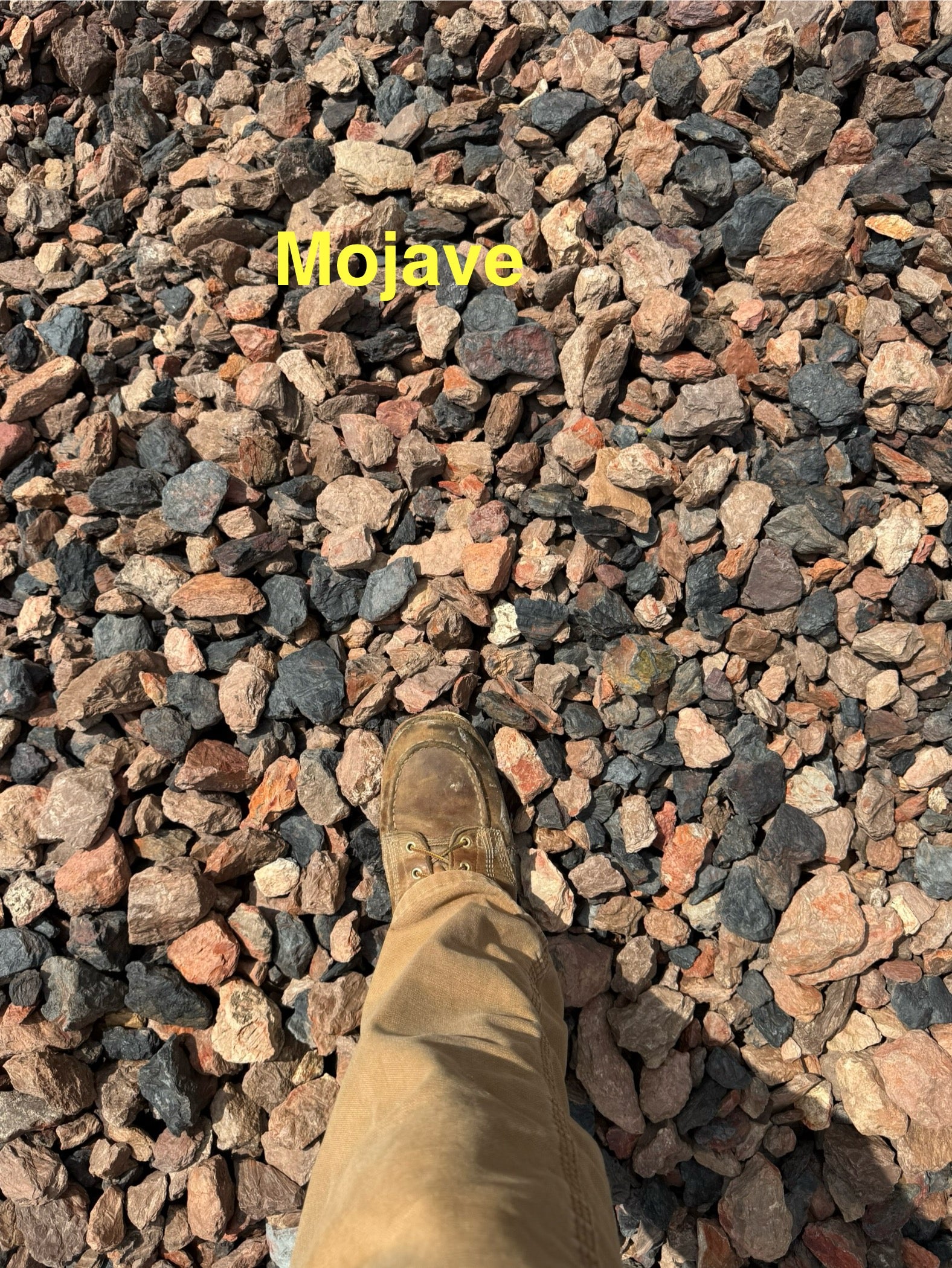 MOJAVE